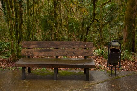 wooden bench in  public park in spring at sunsetの写真素材