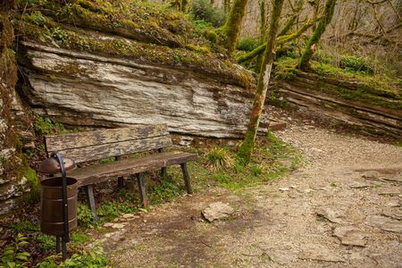 wooden bench in  public park in spring at sunset