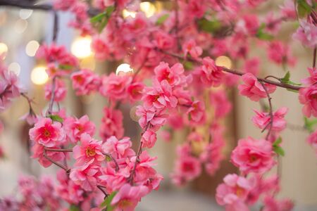 Beautiful blurred floral background of blue flowersの写真素材
