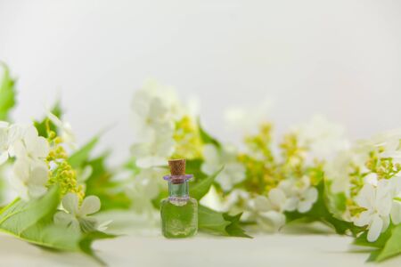 Essence of flowers on a white background in a beautiful glass jar