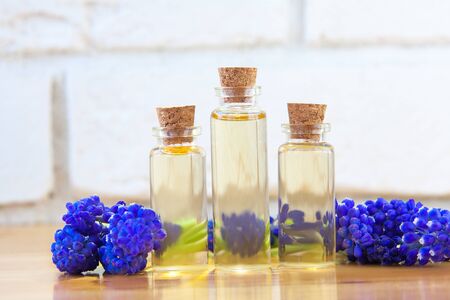 Essential oil of a muscari flower on a table in a beautiful bottleの写真素材