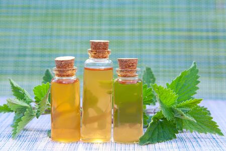 catmint essential oil in a beautiful bottle on the tableの写真素材