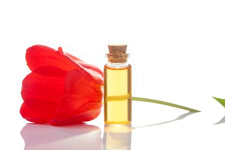 Essence of flowers on a table in a beautiful glass jarの写真素材