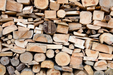 cross sections of different thicknesses logsの写真素材