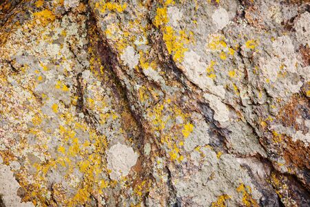 old rusty stone covered with moss and lichen