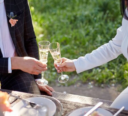 Stylish wedding picnic with cake and champagneの写真素材