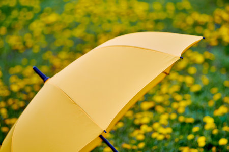 umbrella of bright yellow color on the background of the spring lawnの写真素材