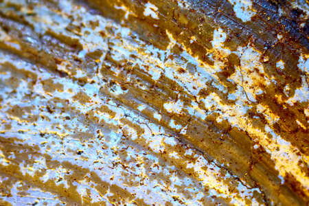 beautiful texture wave pattern shell surface under the microscope