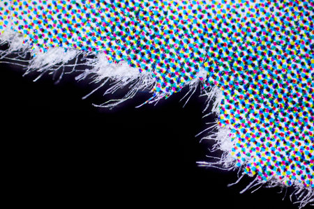 paper structure under the microscope offset printing