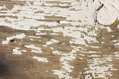 paint on a wooden surfaceの写真素材