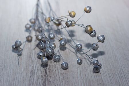 dried grass seeds on wooden backgroundの写真素材