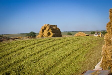 Agriculture. pyramid of straw bales on a green fieldの写真素材