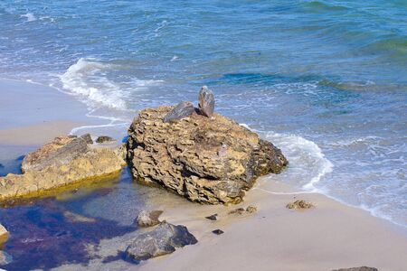 large stones on the sea sandy shoreの写真素材