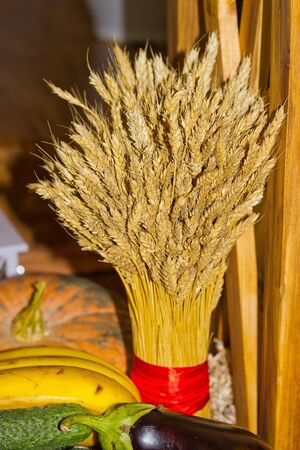 sheaf of ripe wheat ears ligated with a red ribbonの写真素材