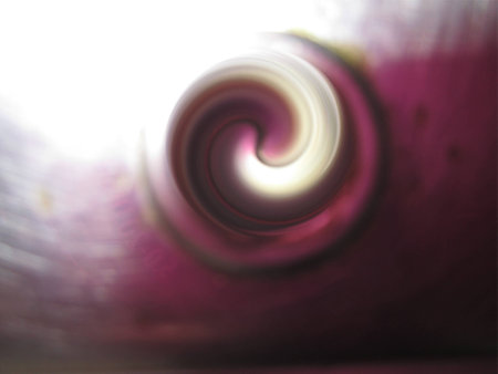 color spiral の写真素材