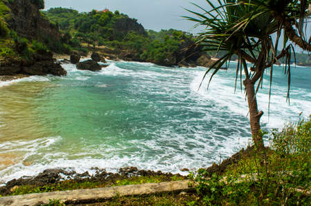 Shoreの写真素材