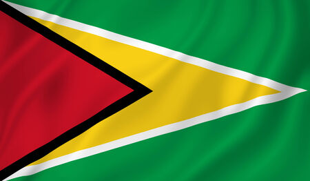 Guyana national flag background texture.
