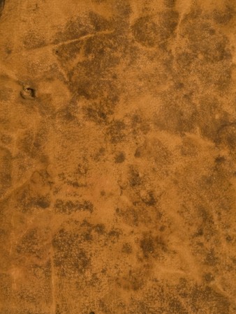 Pergamino Book Coverの写真素材