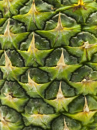 Pineapple Peel Backgroundの写真素材