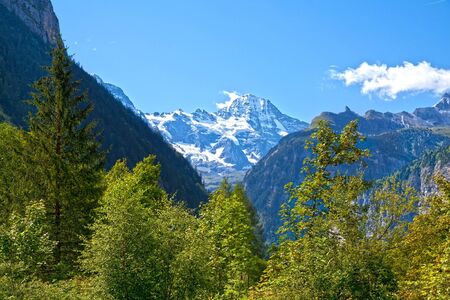 Wilderness Nature in the Swiss Alpsの写真素材
