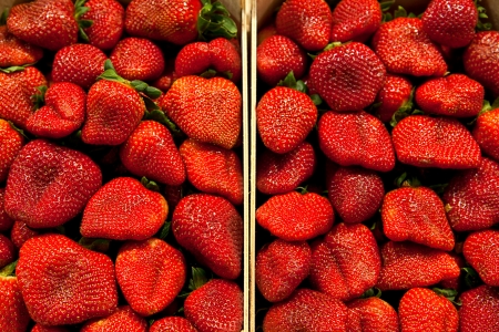 Red Strawberries Background in the Marketの写真素材