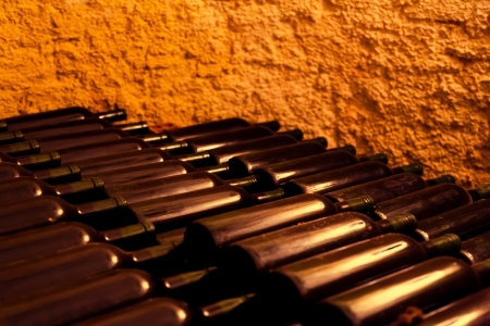 Red Wine Bottles in an Old Wine Cellar