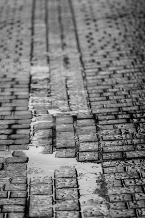 Wet Cobblestone Road During a Rainy Dayの写真素材