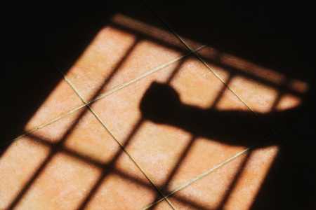 Hand Grabbing a Jail Barの写真素材
