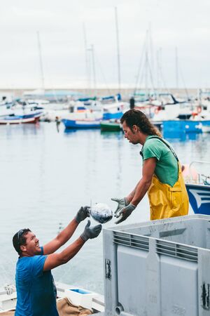 FUERTEVENTURA, SPAIN - OCTOBER 27: Fishermen unloading catch in the port of Morro Jable. October 27,...