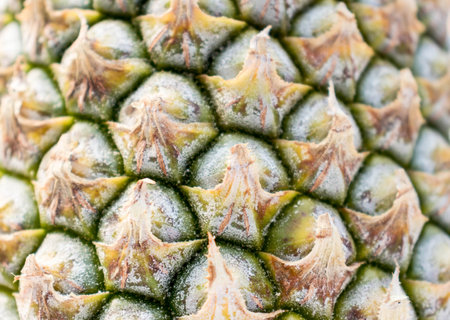 Yellow pineapple bark.の写真素材