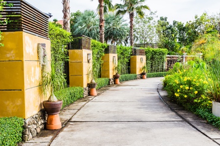 Wooden walkway in tropical botanic gardenの写真素材