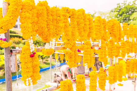 Marigold flowers garland for paying homage to place of worshipの写真素材