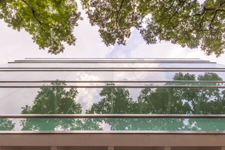 Glass window office building, reflecting opposite trees