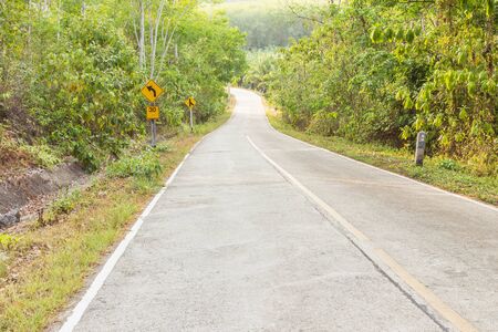 Concrete local road with rubber tree both sides, South of Thailand.の写真素材