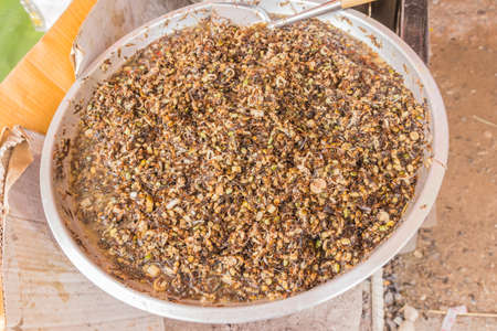 Fried ants selling at the local Thai market or street market, Northeast of Thailandの写真素材