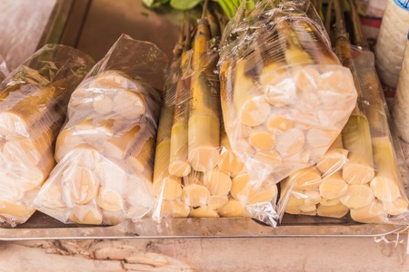 Fresh bamboo shoots in plastic pack for sale at local food market at Udornthani province, Thailandの写真素材