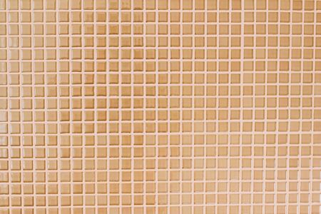 Mosaic tile on bathroom wall with natural light effect