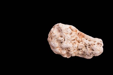 Dead coral isolated on black backgroundの写真素材