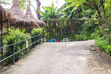 Concrete walkway in tropical garden, Thailandの写真素材