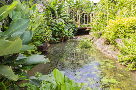 Man-made small beautiful river in garden, Thailandの写真素材
