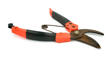 Open Garden Pruning Shears