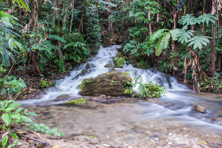 Waterfall beautiful in southeast asia.
