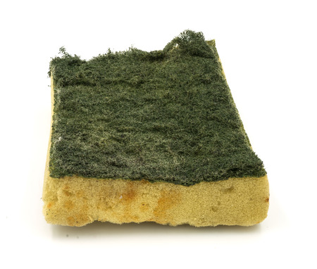 Old kitchen sponge on white background.の写真素材