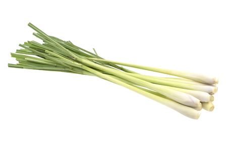 Fresh Lemongrass (citronella) isolated on white background, with clipping path.の写真素材