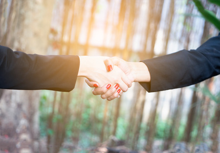 Business handshake and business people concept. Two women shaking hands over sunny in garden  background. Partnership completed deal.の写真素材