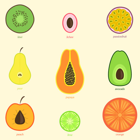 Hand drawn doodle Fruits set with names.のイラスト素材