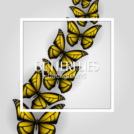 Square white frame banner with colorful butterflies light backgroundのイラスト素材