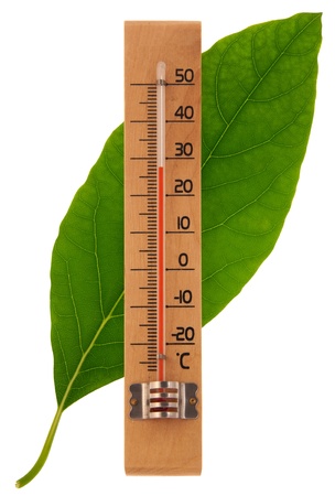 A thermometer made of wood and a green leaf isolated on whiteの写真素材