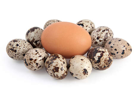 One hen's egg and many quail eggsの写真素材