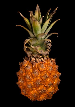 One little pineapple isolated on blackの写真素材